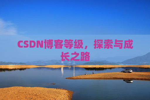 CSDN博客等级，探索与成长之路